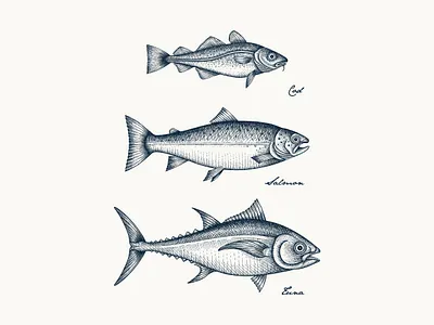Cod • Salmon • Tuna - illustrations for pet snacks packaging branding cod crosshatch etching fish graphic design hand drawn illustration neku pet snack salmon tuna vector vintage whimsical