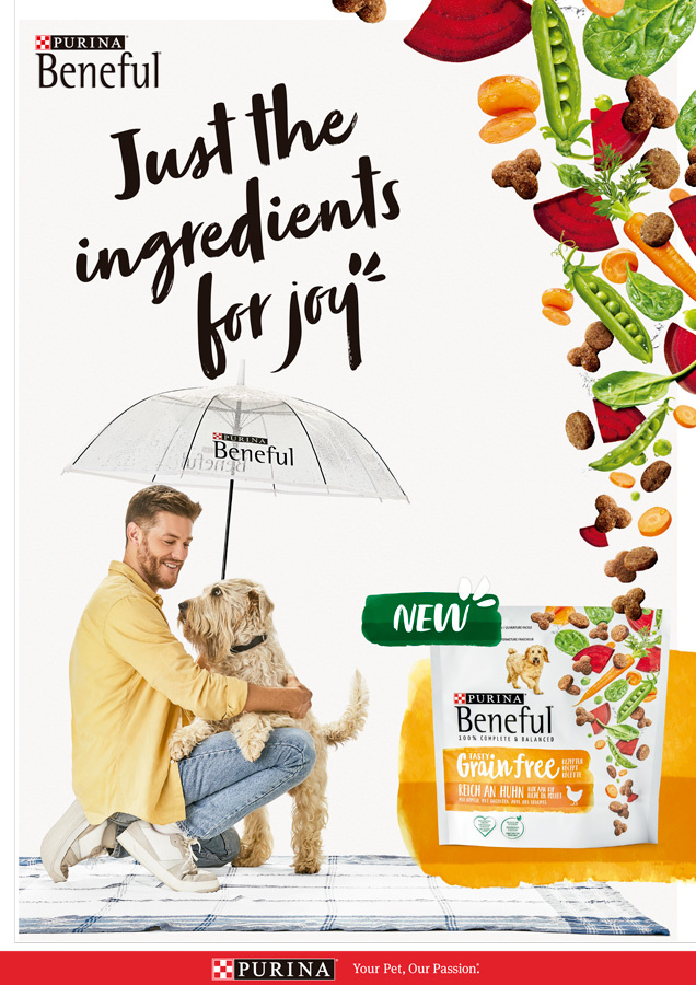 Print Ad + Display Banners for Purina advertising digital design display banners graphic design