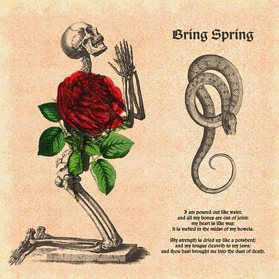 Bring Spring