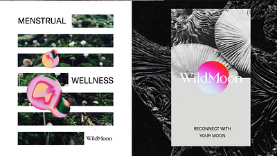 WildMoon | Branding branding design graphic design logo packaging design typography