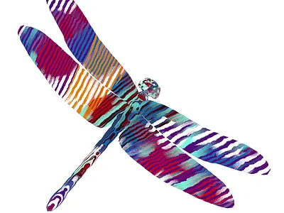 The gift of flight blender dragonfly fly gird graphic design ill illustration