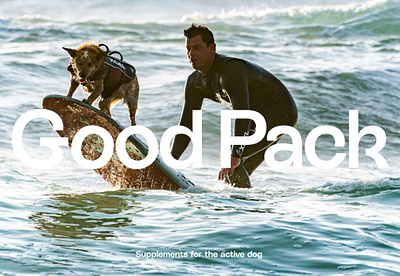 Good Pack | Logo branding design graphic design logo typography