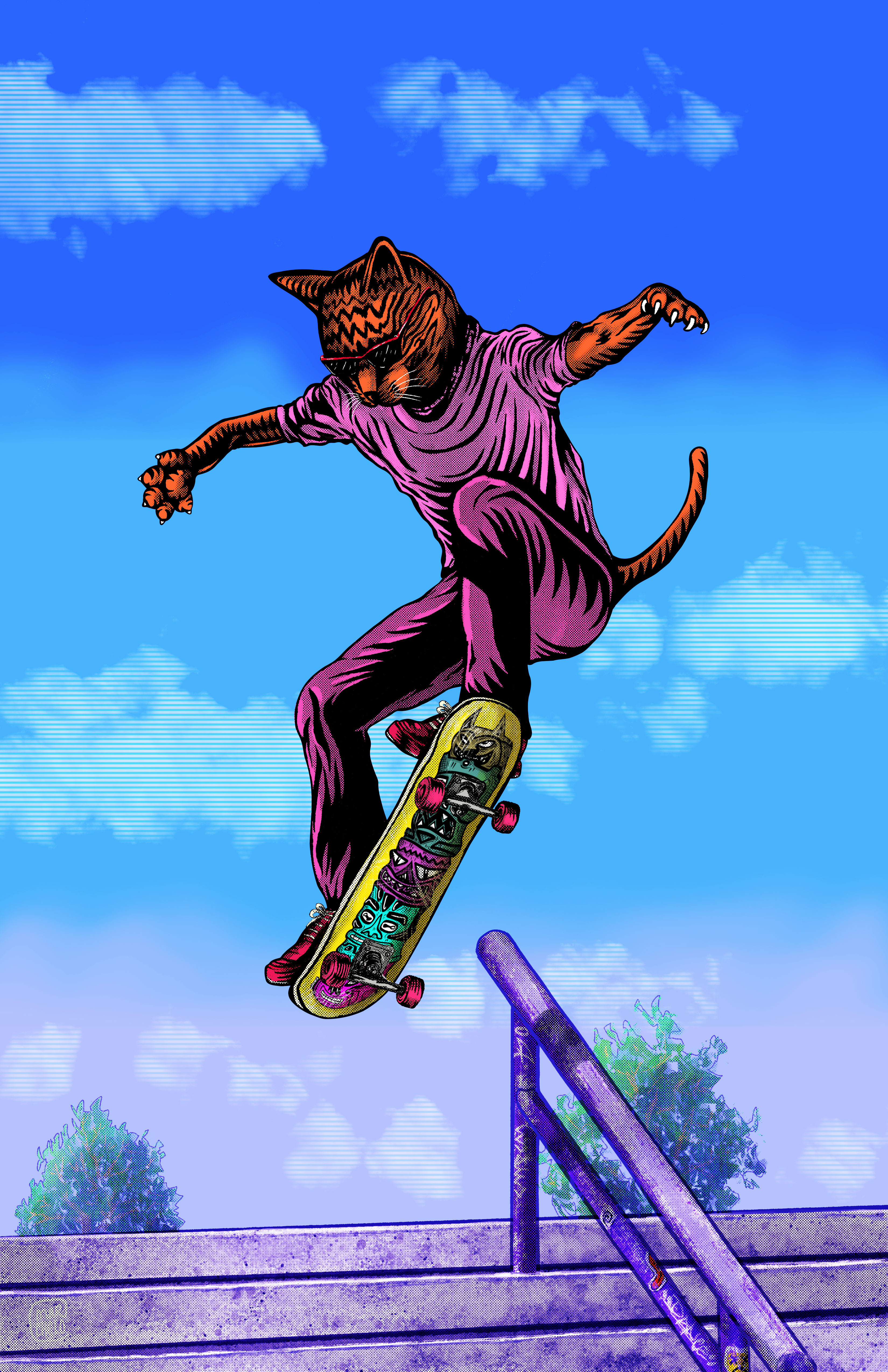 Skate Cat illustration