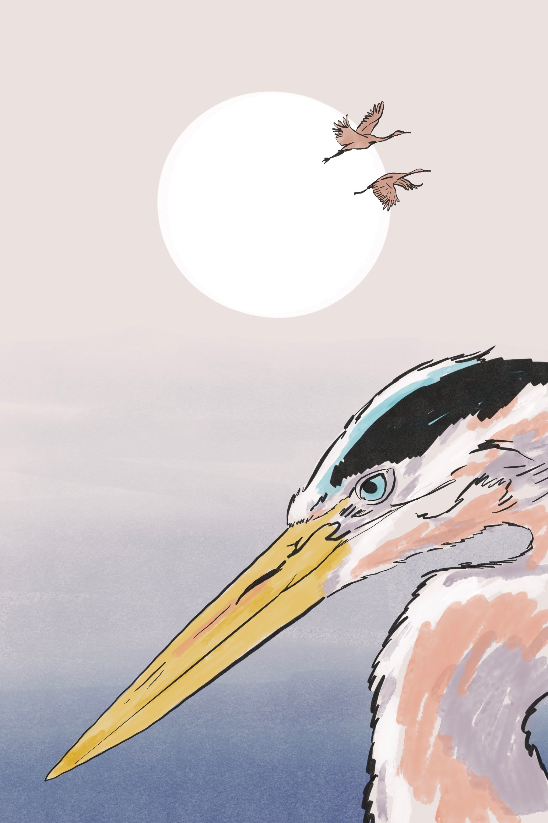 The crane wife editorial editorial illustration illustration procreate