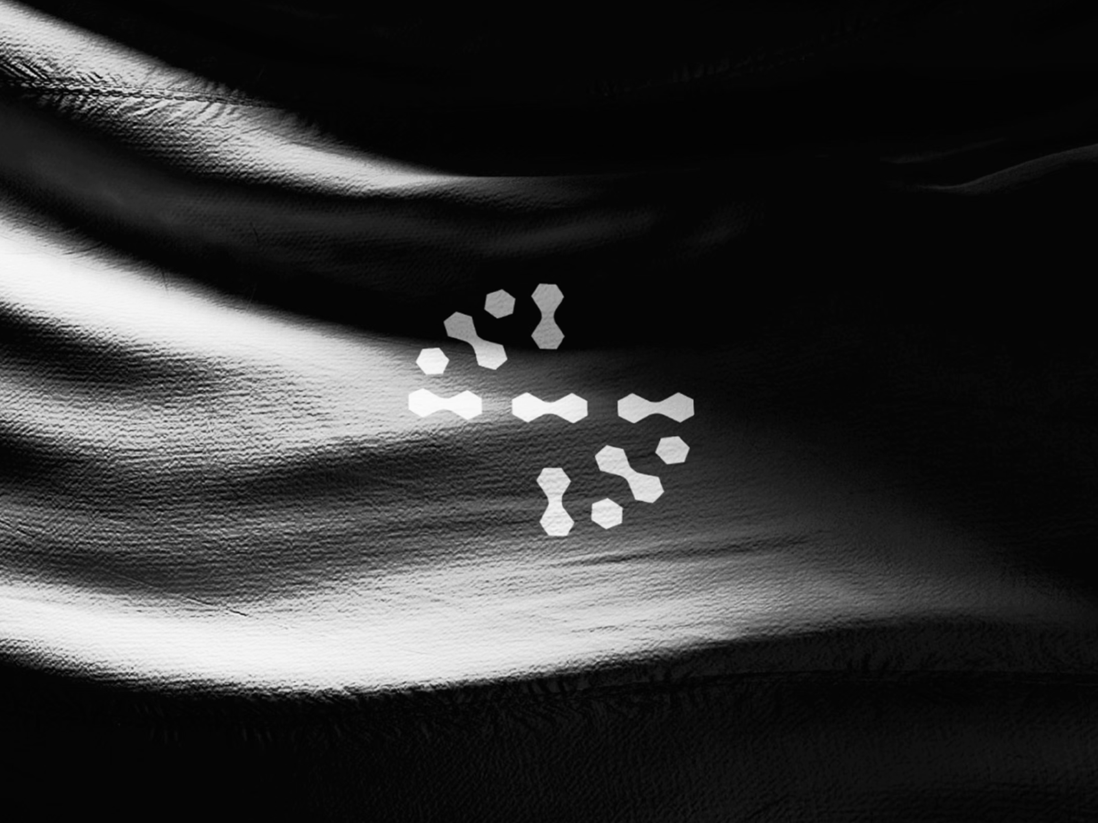 Smartsome™ Logo & Branding