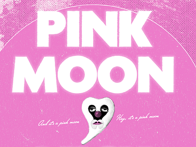 Pink Moon – Nick Drake colorful design graphic design monotone moon music nick drake photoshop pink pink moon redesign retro