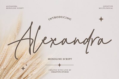 Alexandra Monoline Script signature