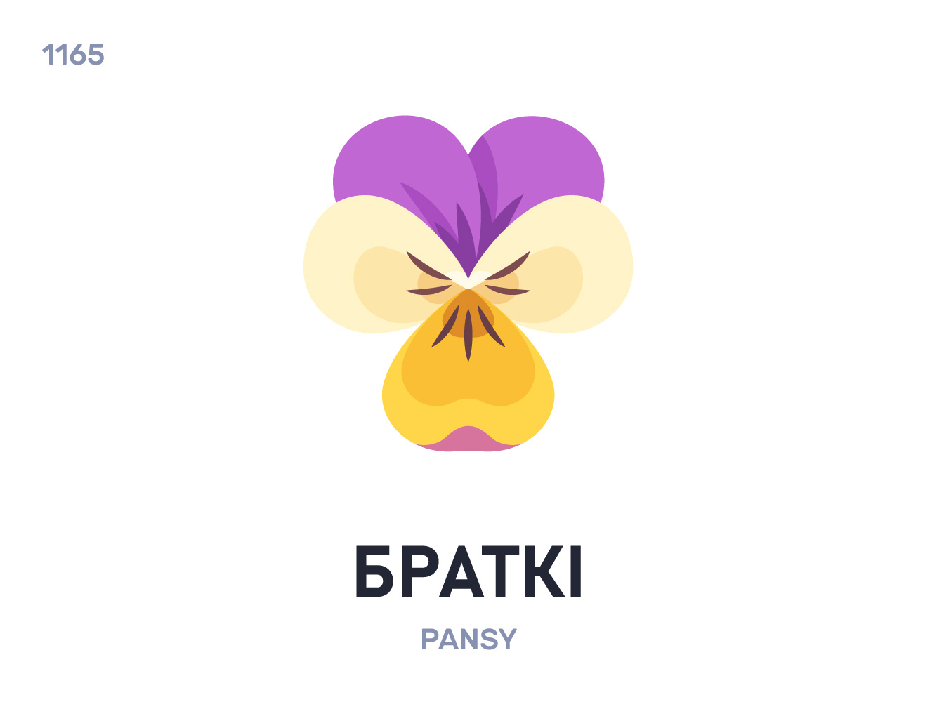 Брáткі / Pansy