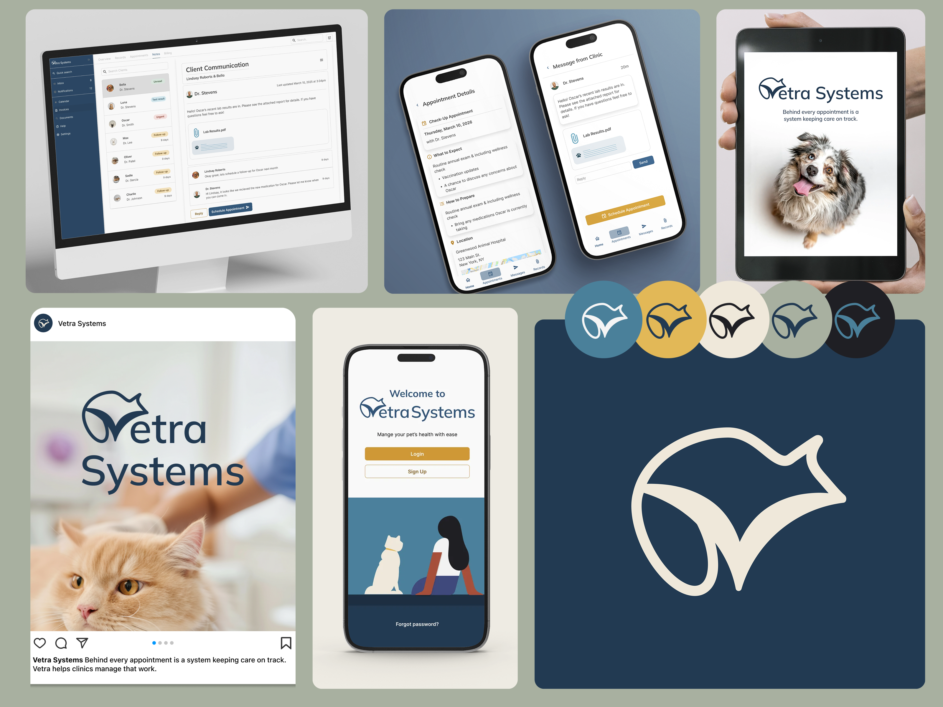 Example of Brand Refinement & Design System