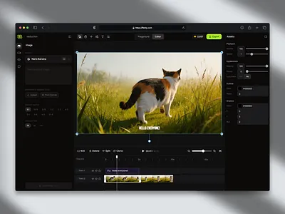 Flenly - AI Video Studio for Better Control & Workflow ai video app canvas design mobile app ui ux video editor web design