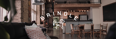 Brindle Branding + Ephemera branding design graphic design lettering logo typography vector