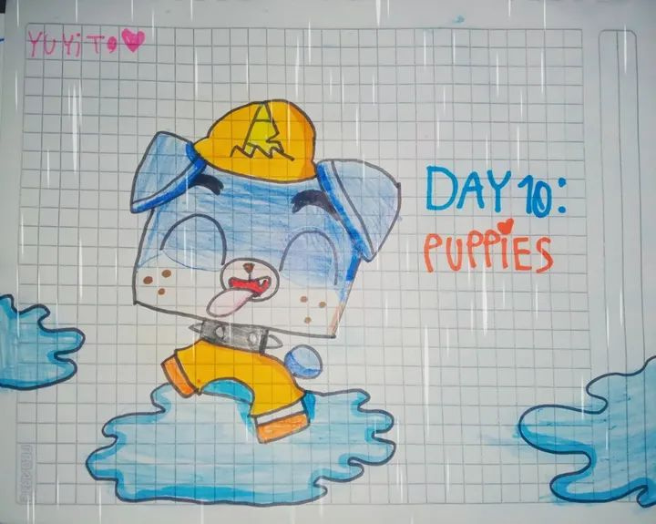 Marchrain day 10: puppy