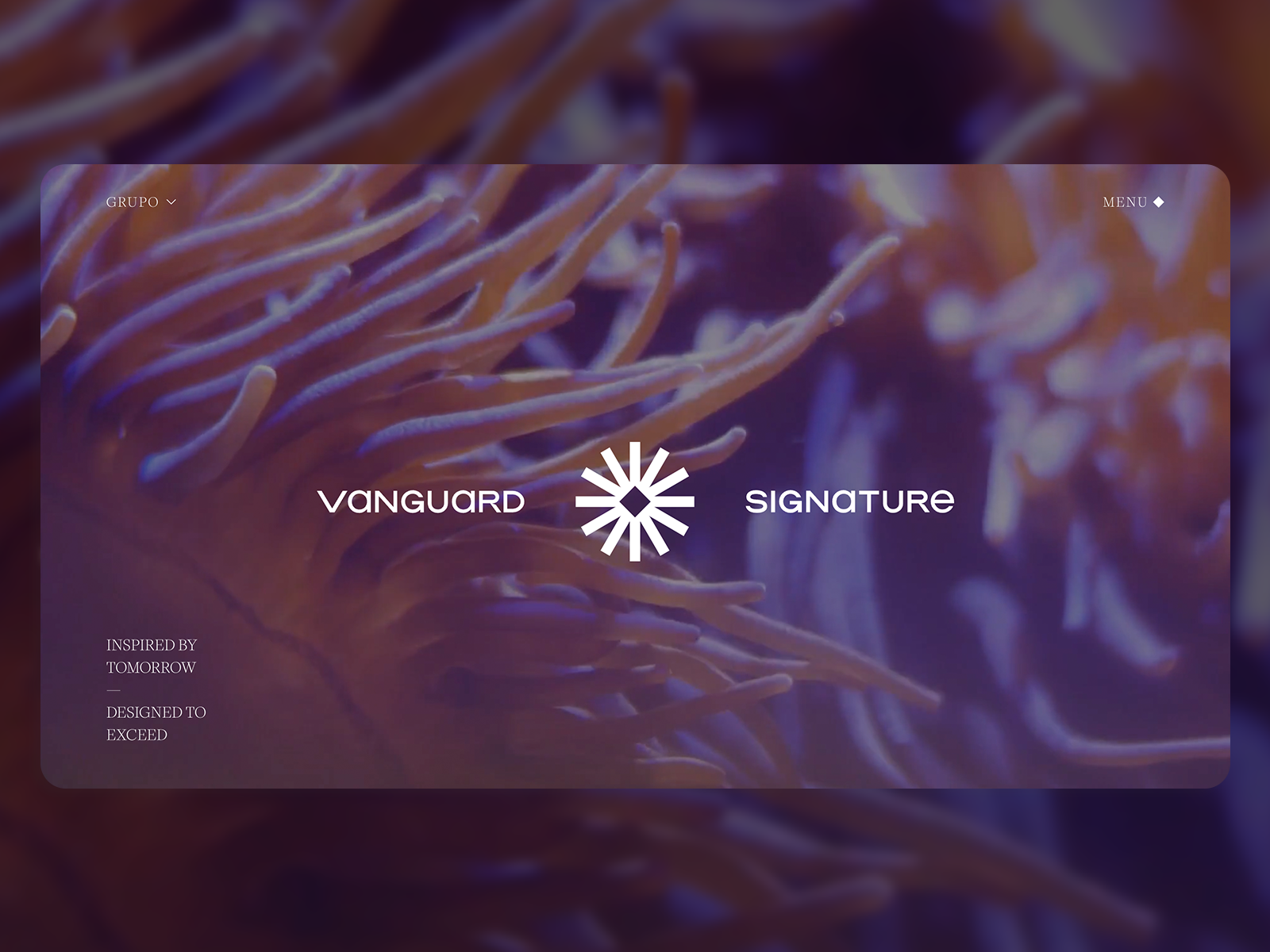 Vanguard Signature frontend development web development