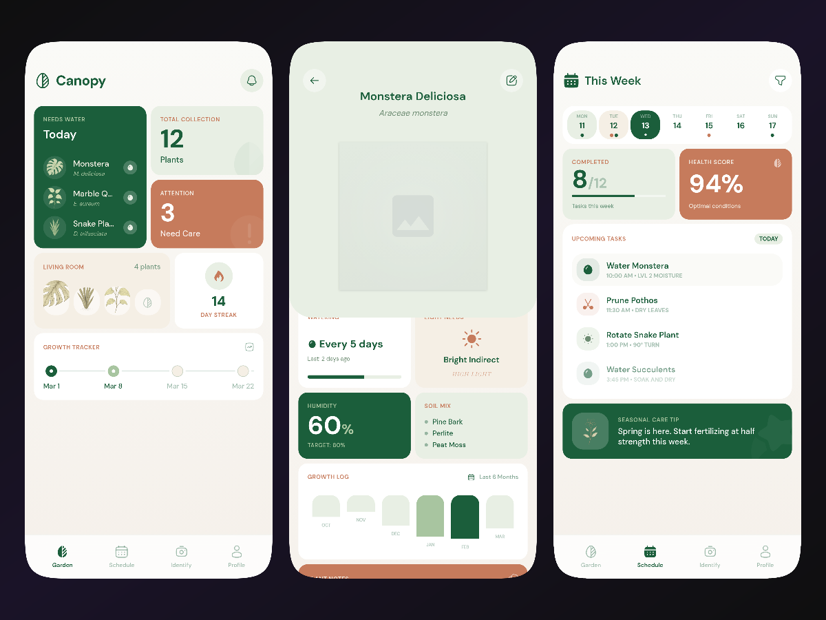 Plant Care App / Minimal Botanical