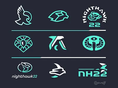 Electronic Artist Identity Design - NightHawk22 Study badge design bird branding brandmark digital eagle emblem falcon graphic design icon design identity illustration logo logo design logo designer logos music nighthawk print signage
