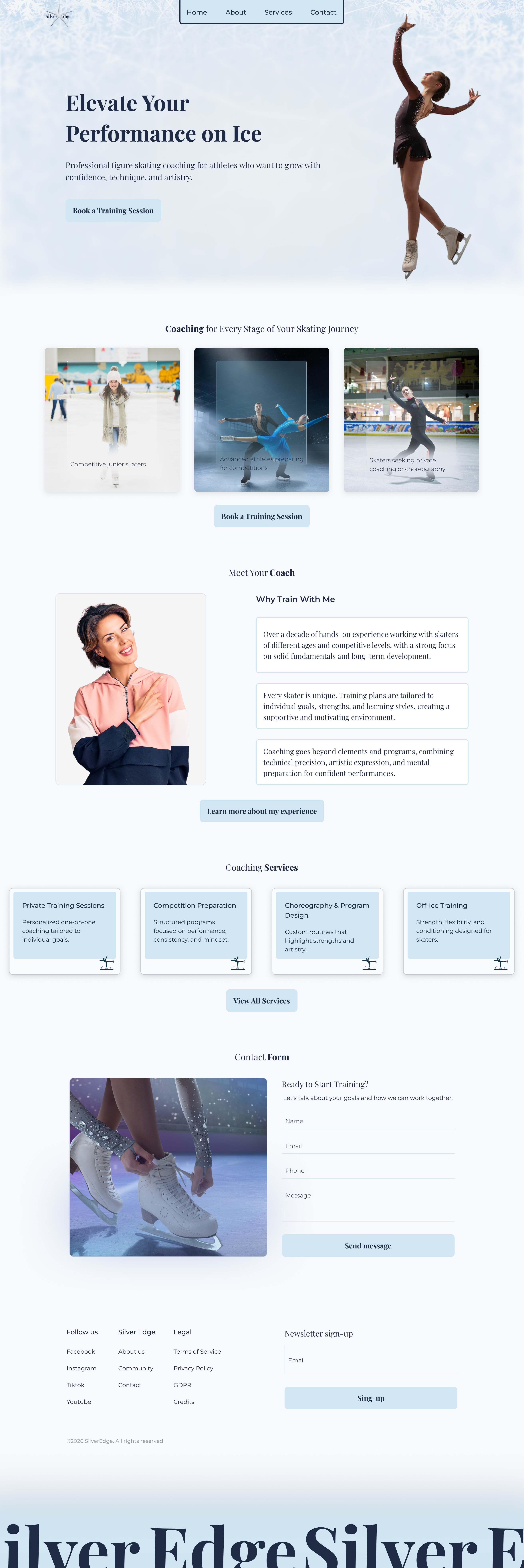 Example of Landing Page Designs