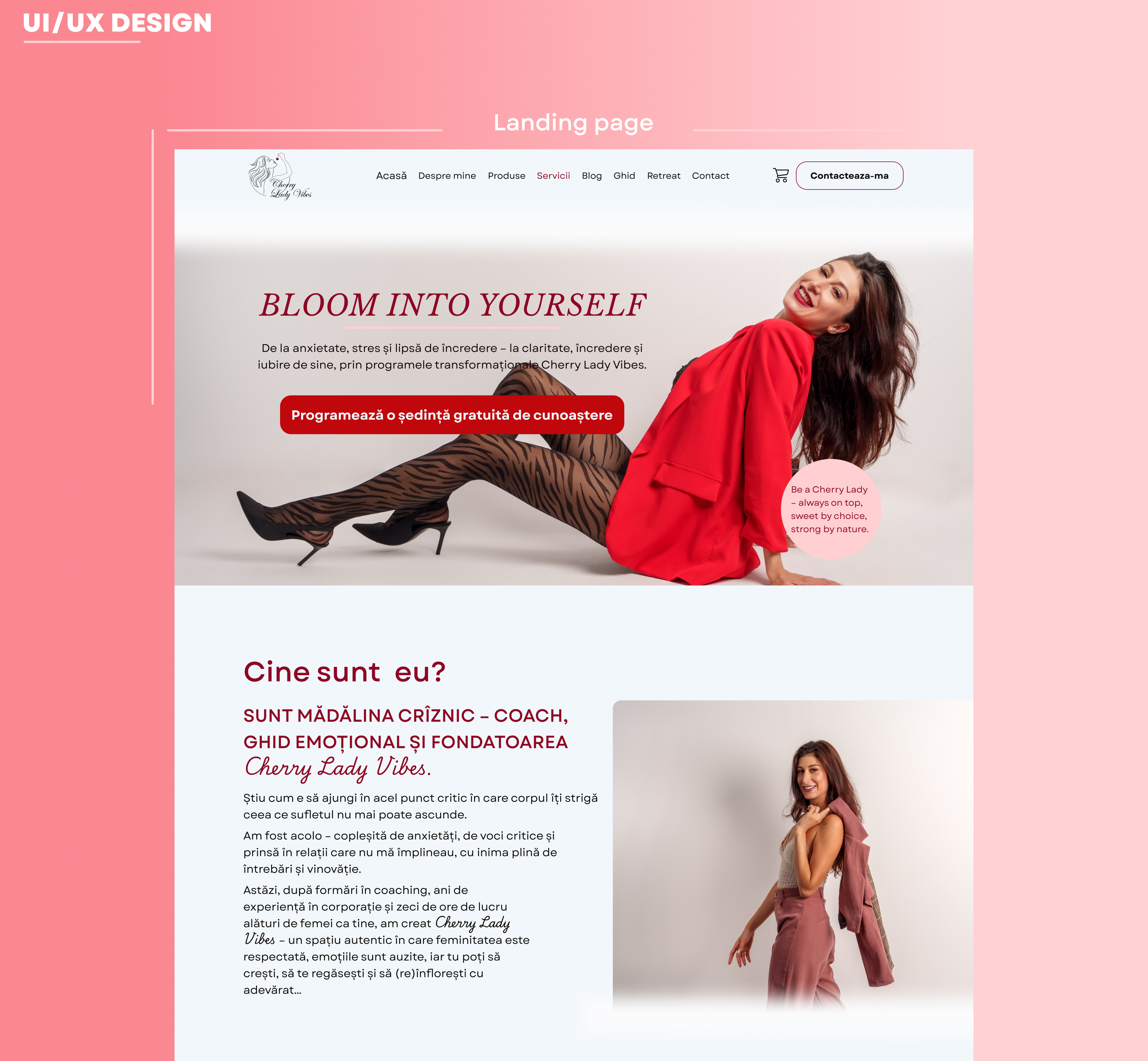Example of Landing Page Designs