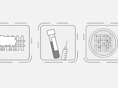 Research - Sheep Project Animal Health animation illustration