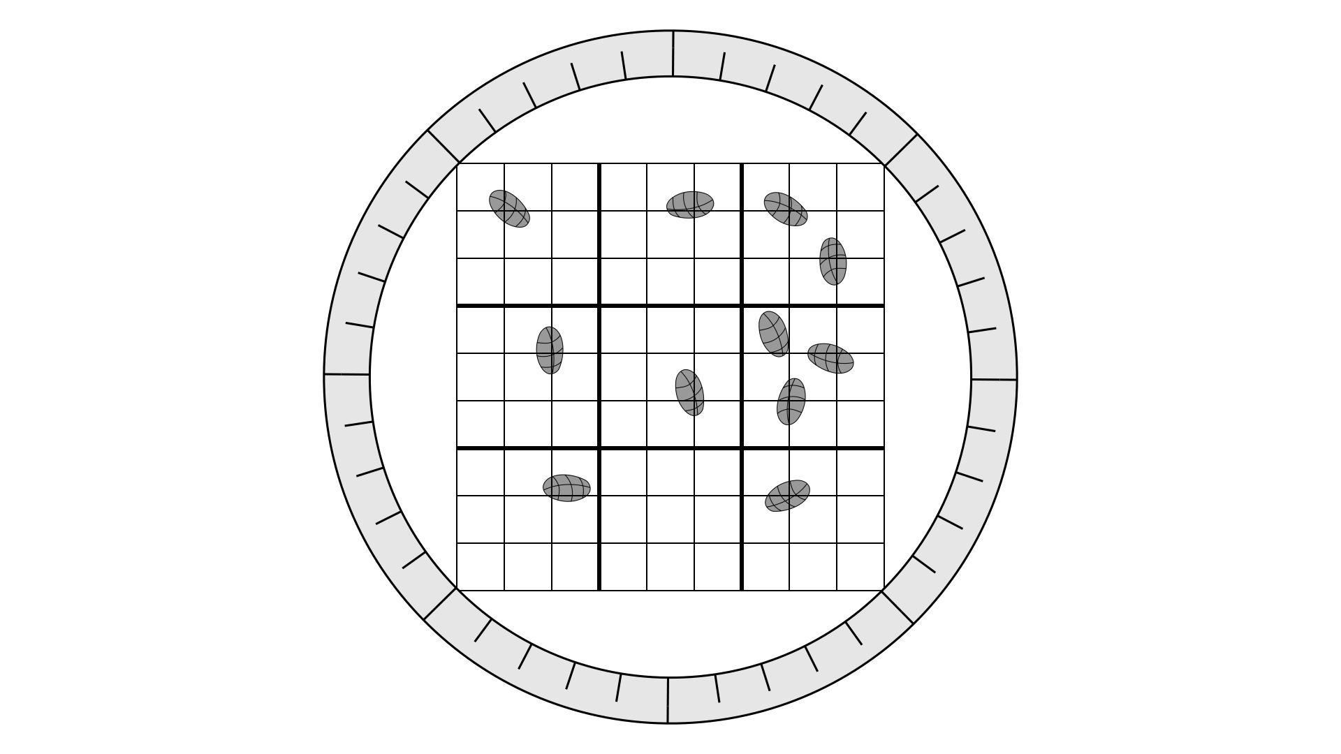 Microscope - Sheep Project Animal Health