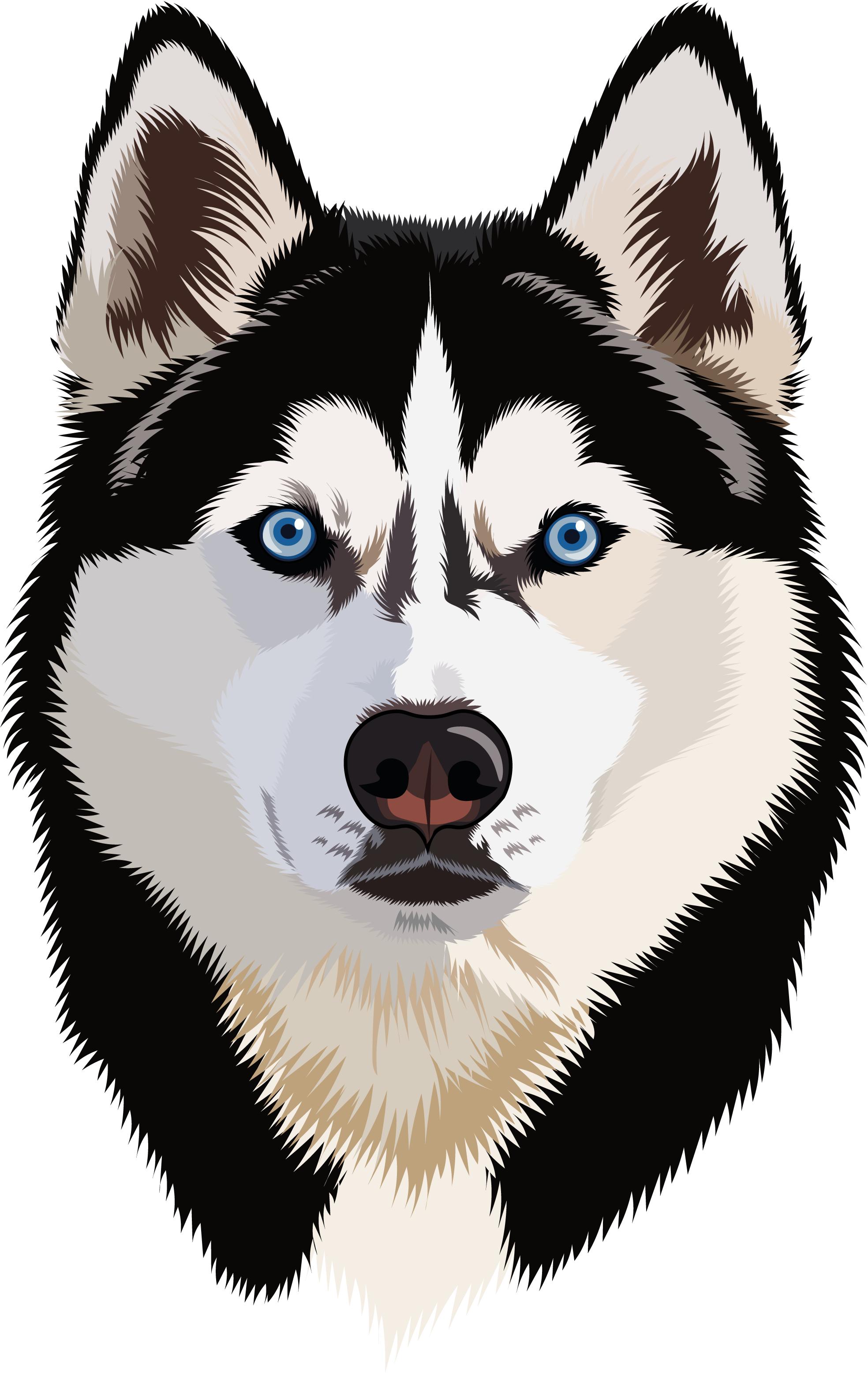Siberian Husky blue eyes husky breed portrait dog art dog portrait dog wall art expressive eyes husky art husky dog husky lover gift minimalist dog modern graphic northern dog pet illustration siberian husky vector illustration