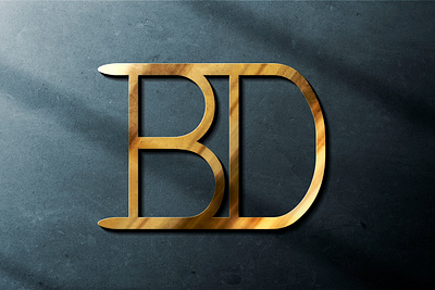 BD Logo 3d bd logo branding business logo design graphic design icon illustration logo logo desing ui unique design