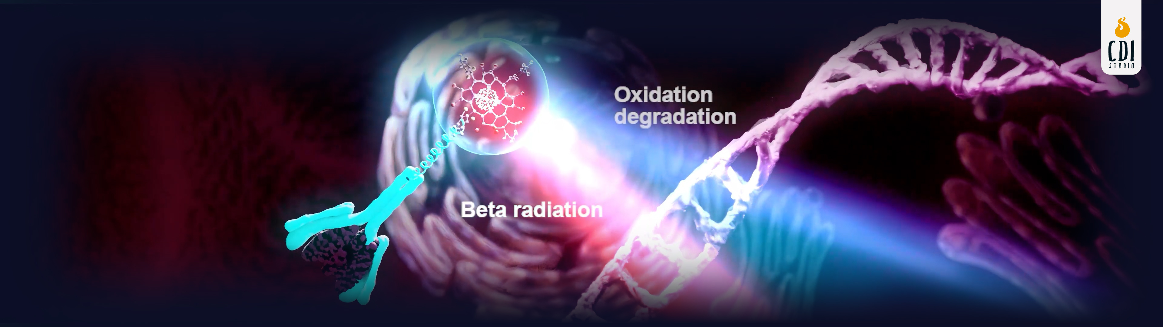 Targeted Radiotherapy Mechanism | Biotech 3D Medical Animation 3d animation cdi studio healthcare mechanism of action medical animation molecular visualization motion graphics oncology scientific visualization