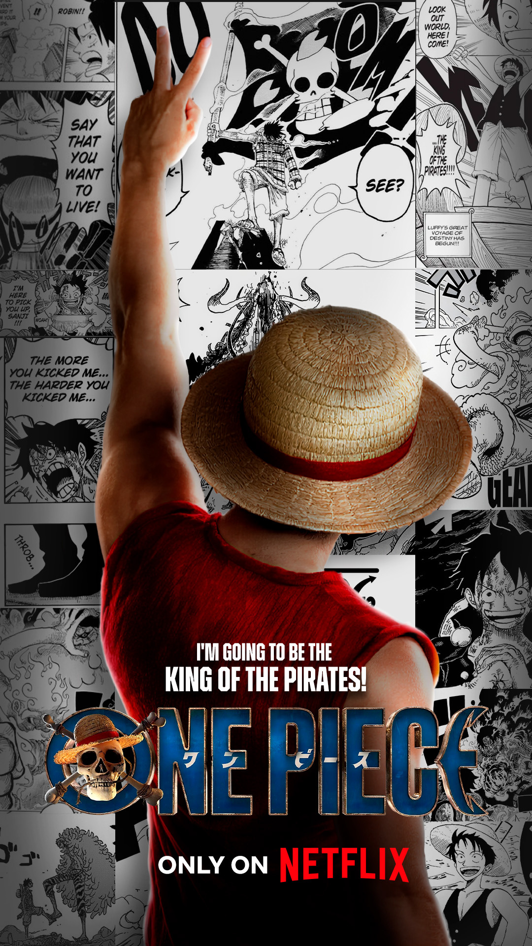 ONE PIECE POSTERS DESIGNS I proyecto personal