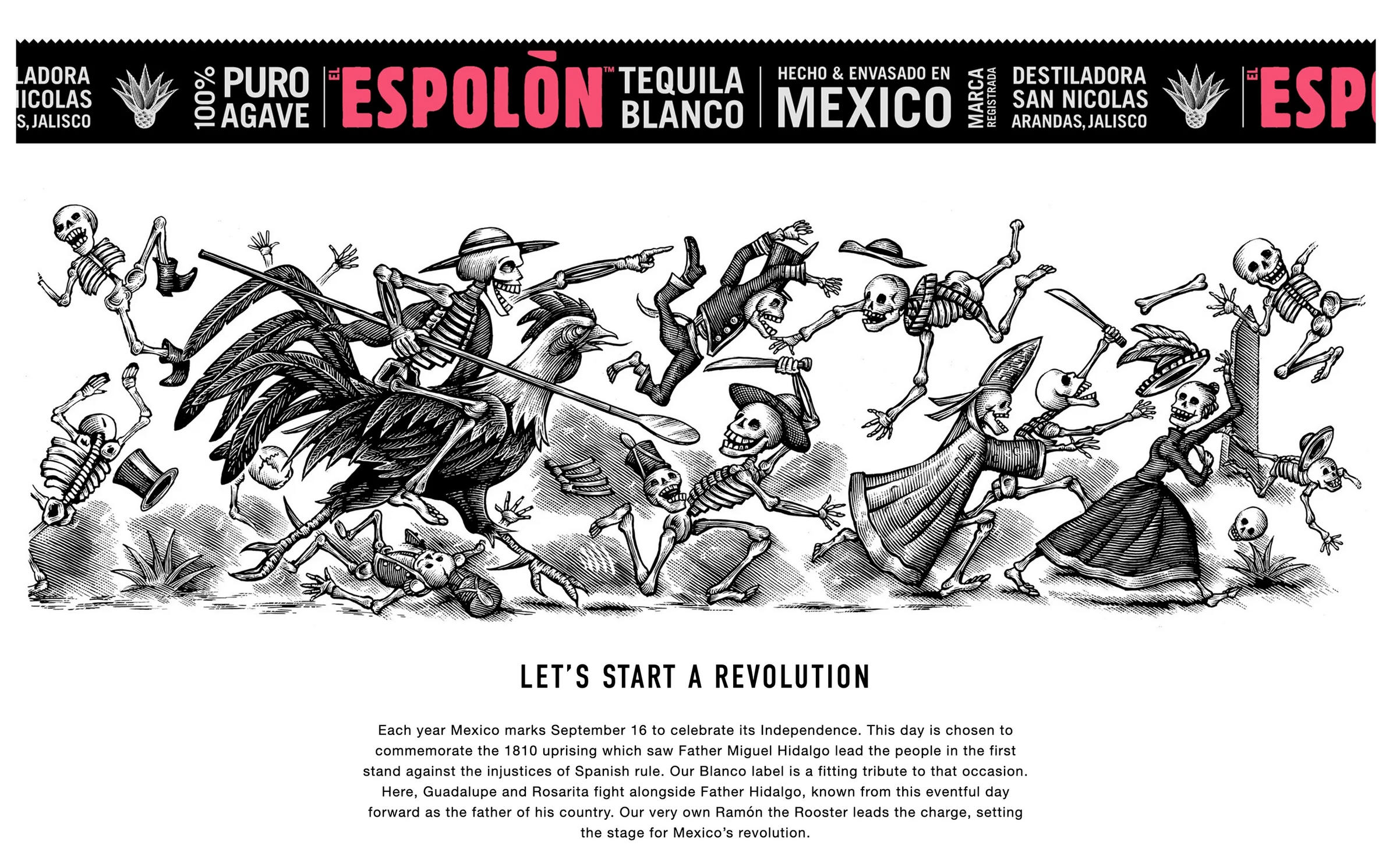 The Story of the Espolon Tequila Art by Steven Noble artwork branding design engraving espolon tequila etching illustration line art linocut scratchboard steven noble woodcut