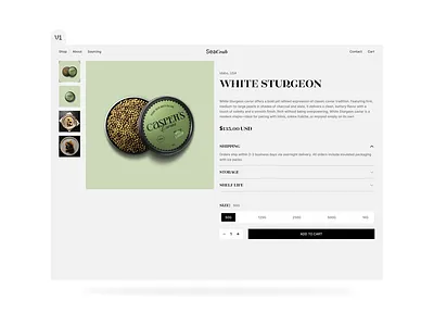 Product View (V: 1.1)- UI Design landing page product page product view single product ui ui design website ui design