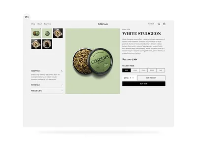 Product View (V: 1.3)- UI Design design modern design product details product view single product ui design ux design website website ui design