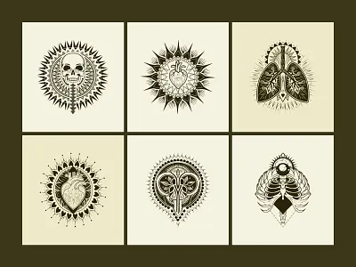 Anatomical Illustrations Set anatomical anatomy art artwork biology design education glyph healthcare illustration medical organs physiology print science skeleton sketchy study vector vintage