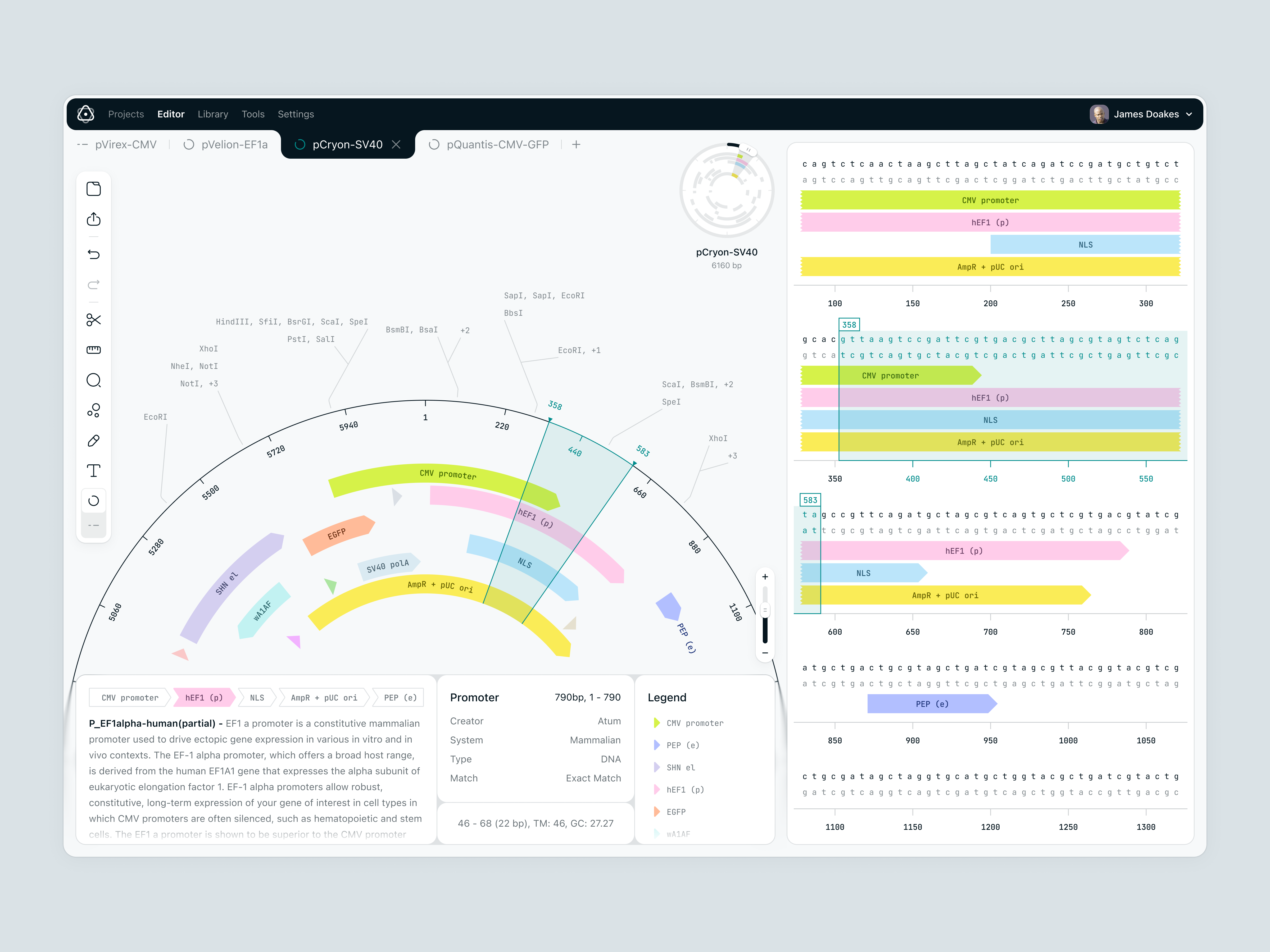 DNA Editor / Plasmid Map analysis bio biotech data design dna editor genome interface lab molecular panel plasmid research science software tools ui uiux ux