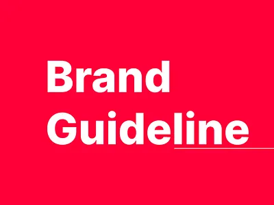 Brand Identity & Guidelines System branding graphic design