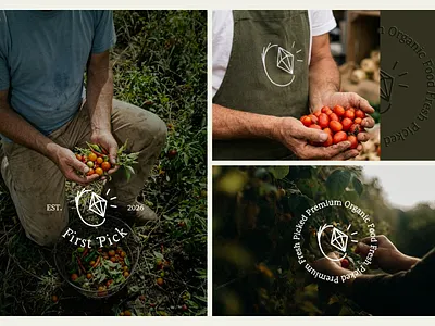 Organic Food Brand Identity - First Pick branding fresh graphic design icon logo mockups organic food