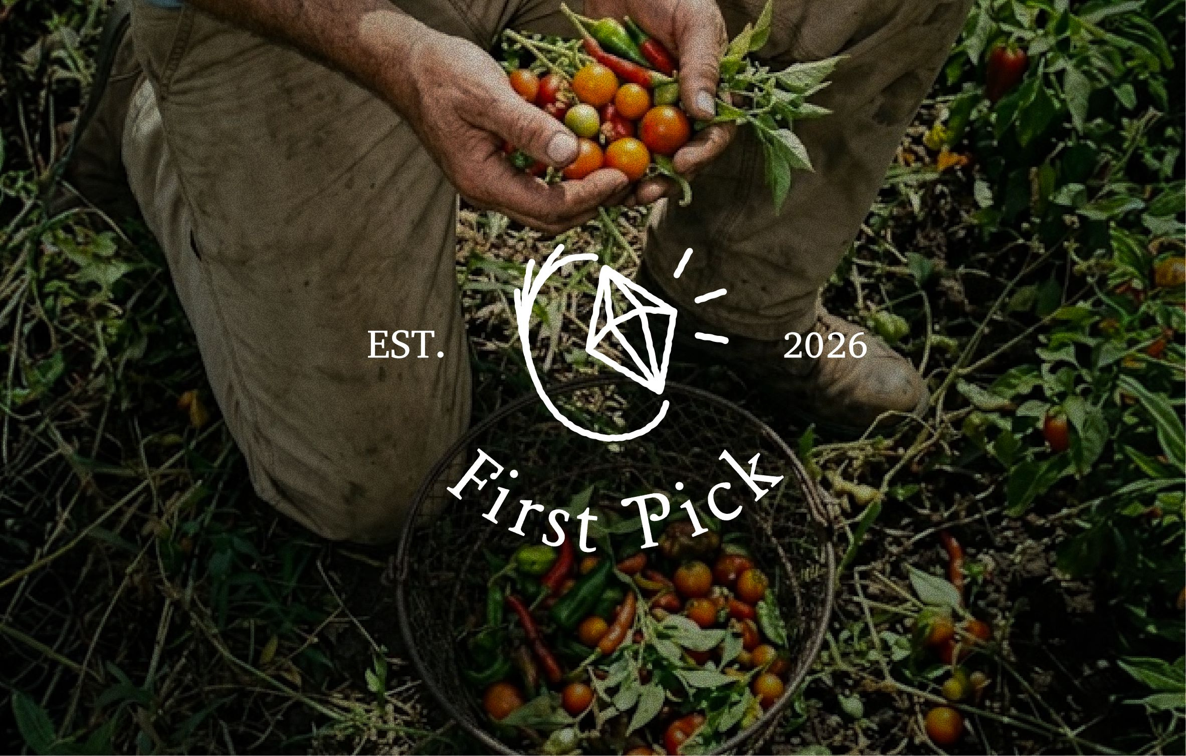 Organic Food Brand Identity - First Pick branding fresh graphic design icon logo mockups organic food