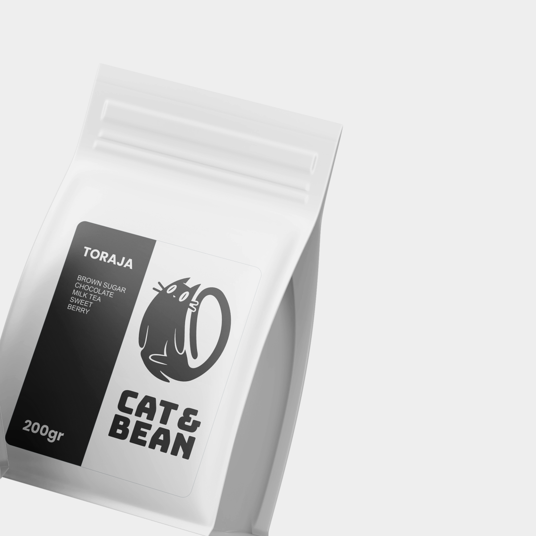 cat and bean bean brand cat coffee logo logodesign vector