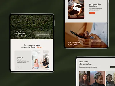 Fireside Website Design. branding community design doctors drylikov graphic design health healthcare interaction design interface user experience user interface ux design ux ui web web design web marketing website website design