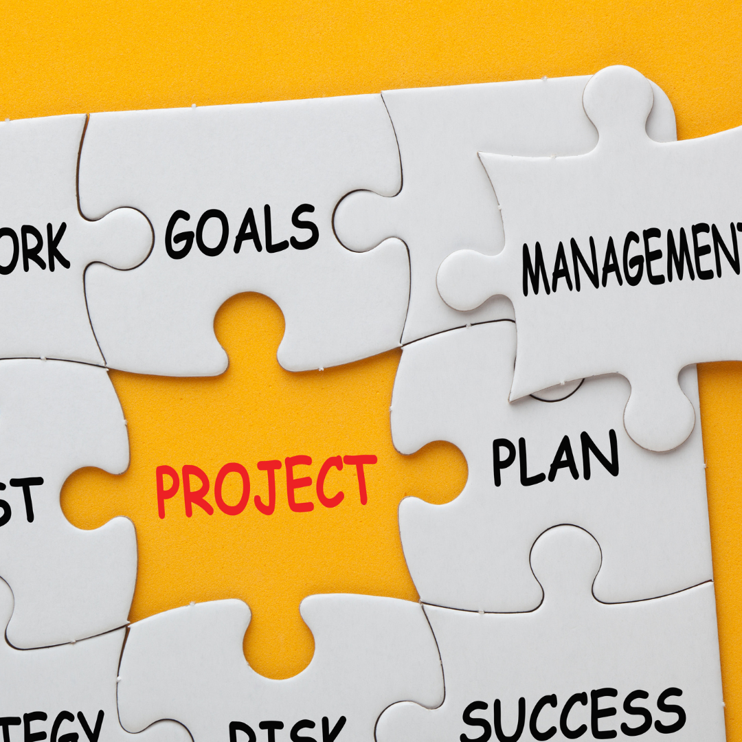 benefits-of-using-project-management-software-for-businesses-by-emily