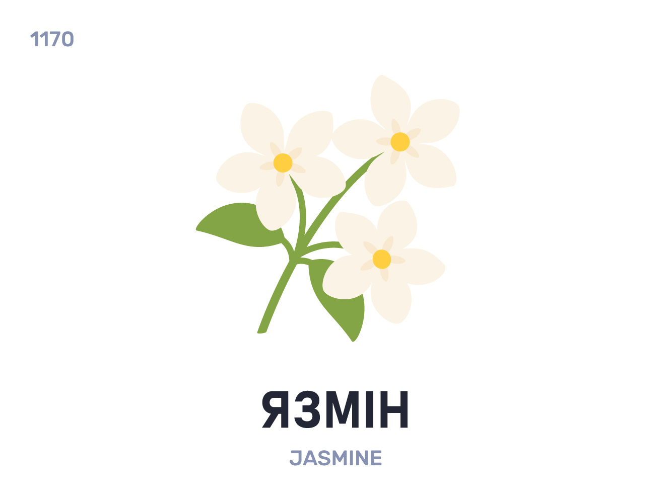 Язмíн / Jasmine