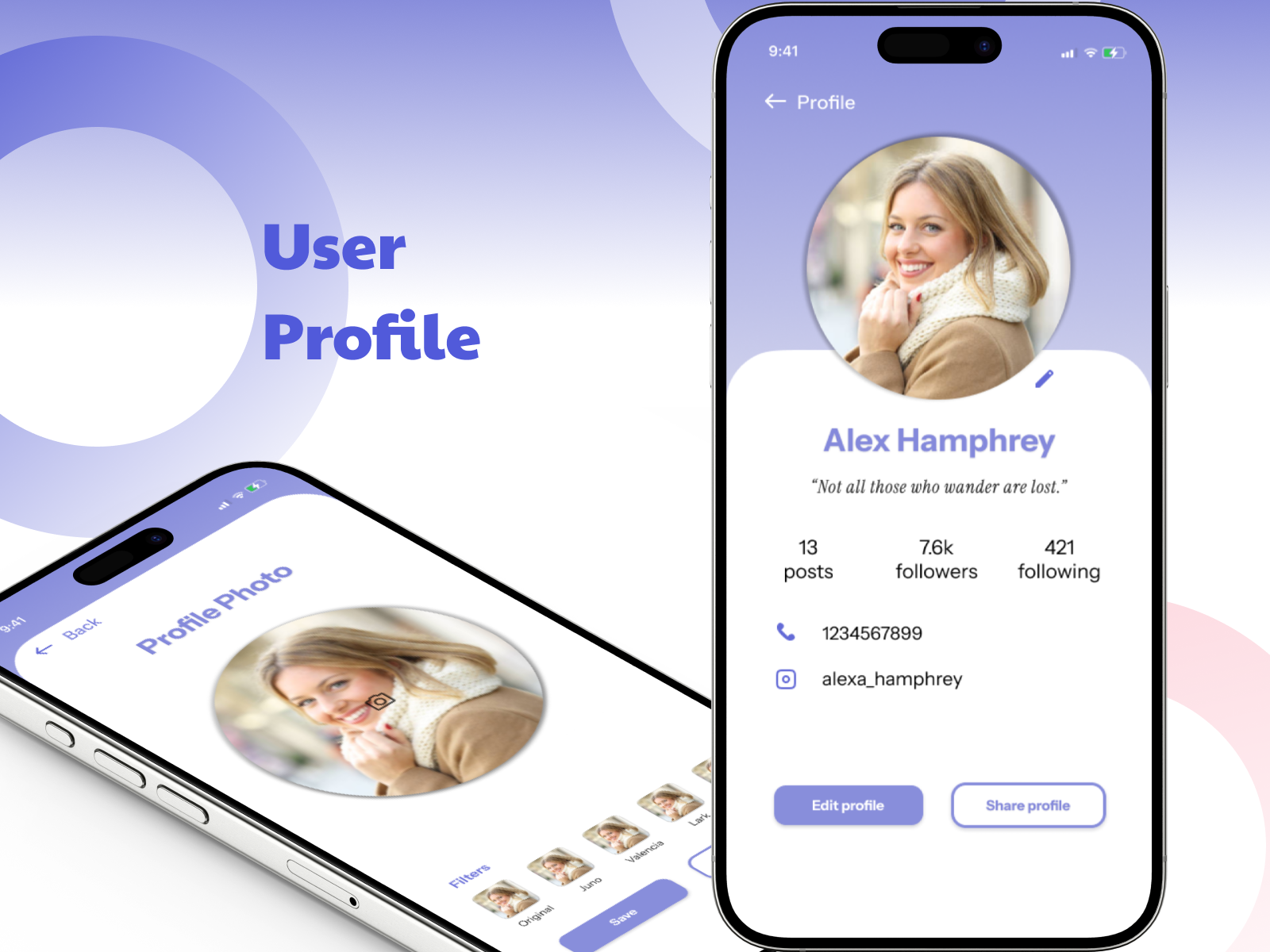 User Profile Interface