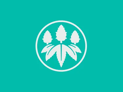 Avitas Logo brand design logo design