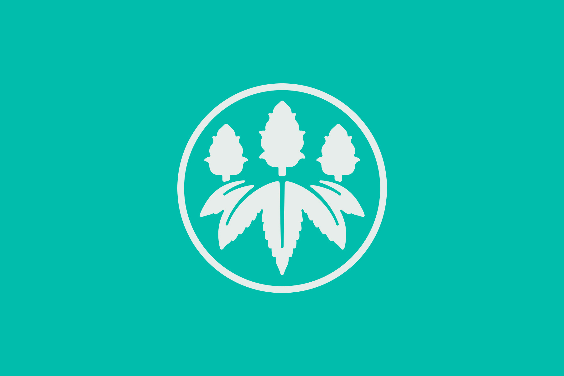 Avitas Logo