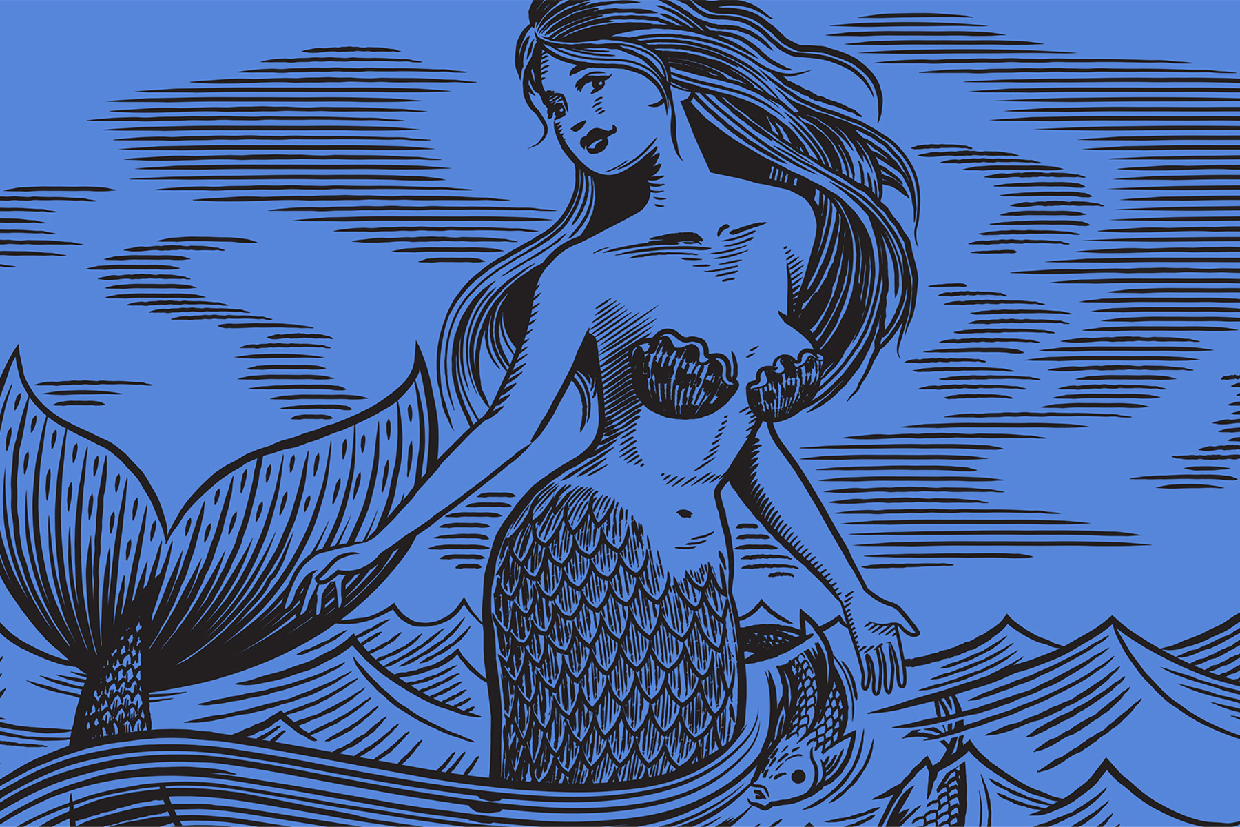 Illustration for Scuttlebutt