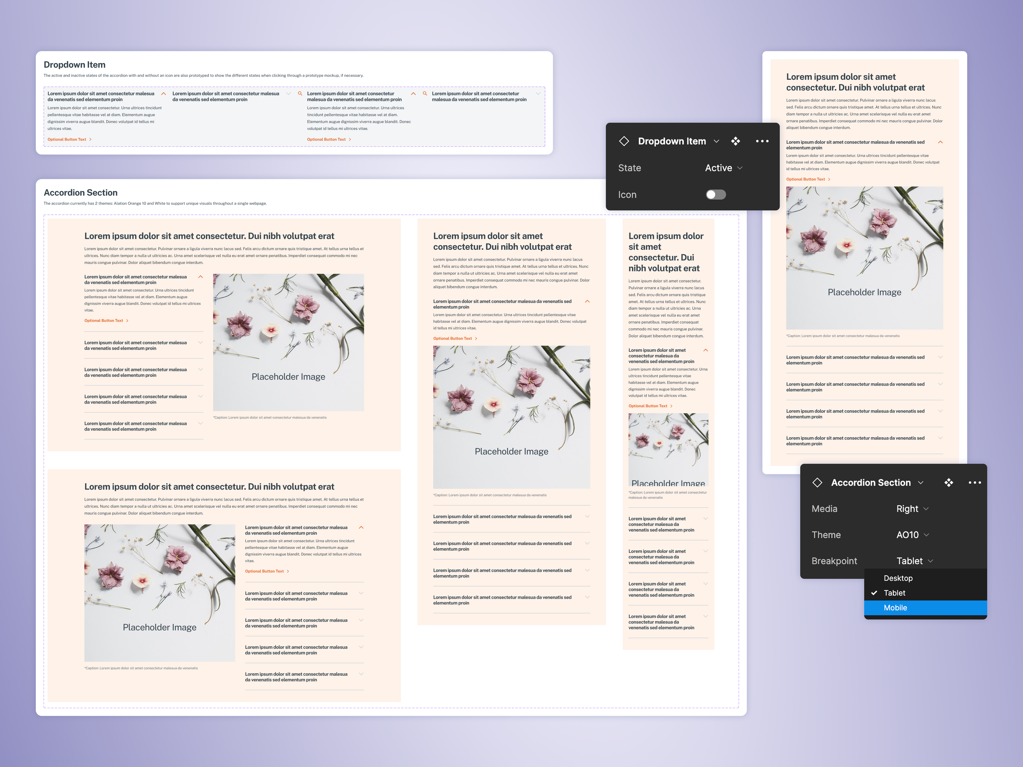 Example of Web Design System & Components