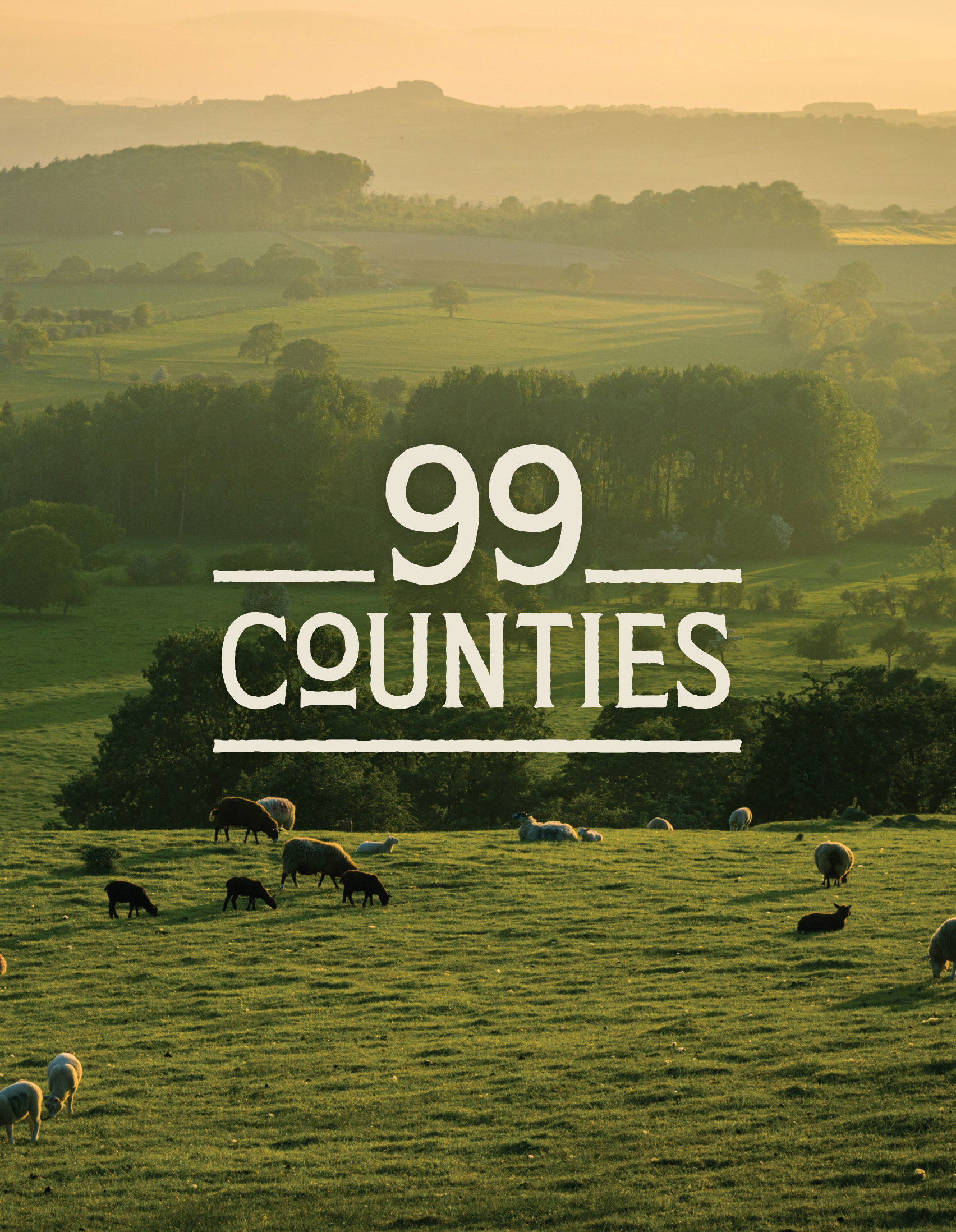 99 Counties Logo