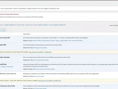 WordPress Website using ACF Project ] acf agency client client work wordpress wordpress website