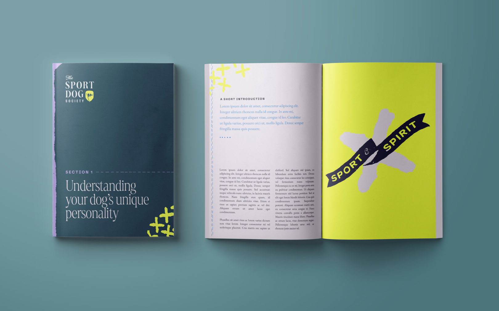 Sport Dog Society Print Collateral