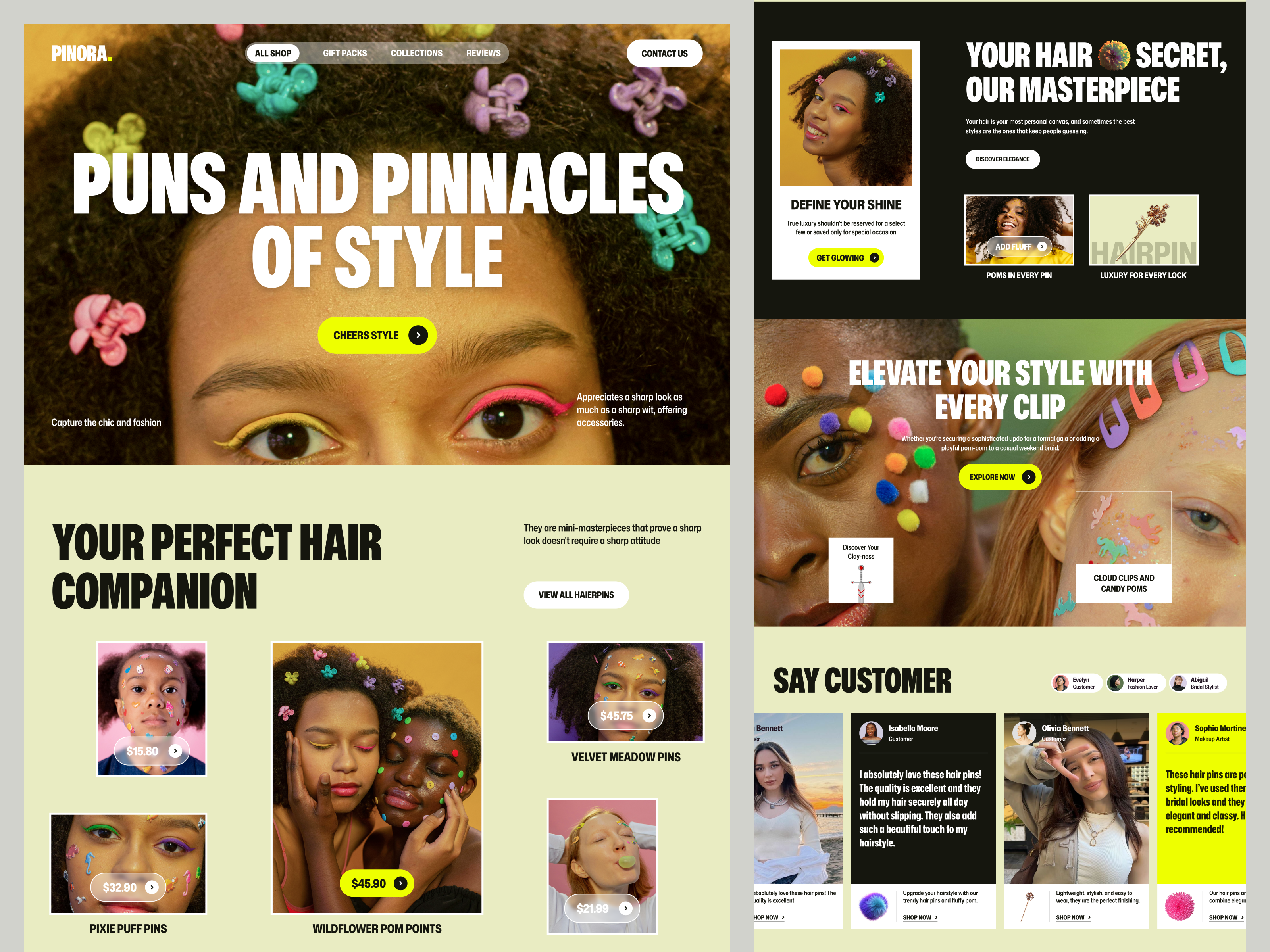 Example of Website And Landing Design