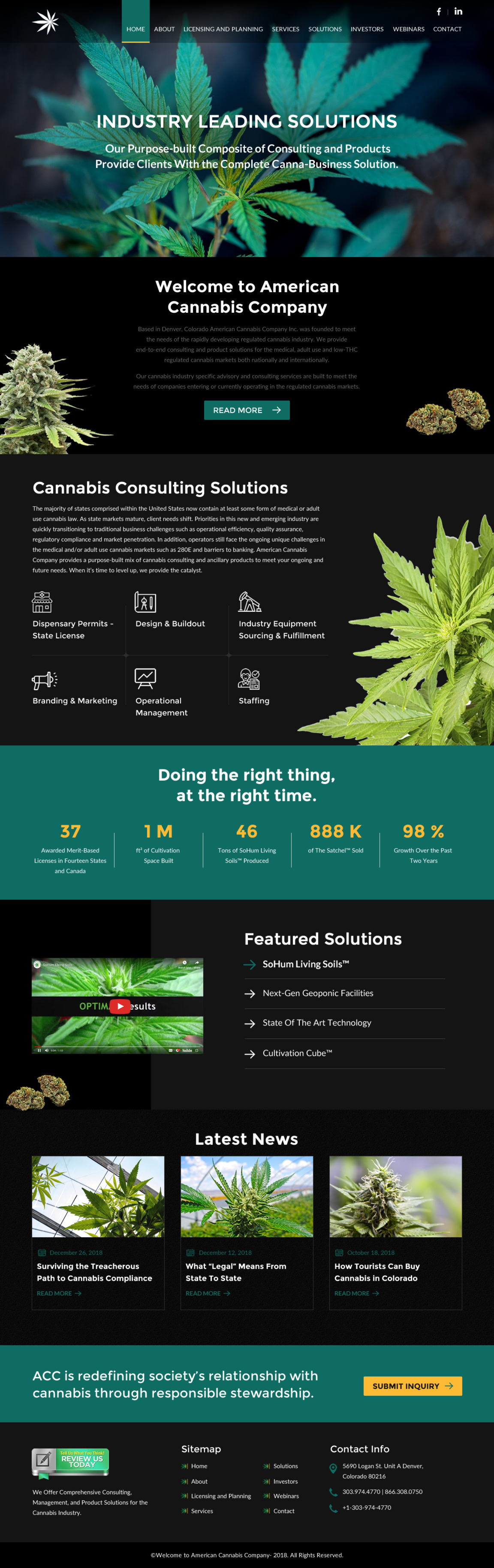 American-Cannabis design graphic design health care logo ui ux vector