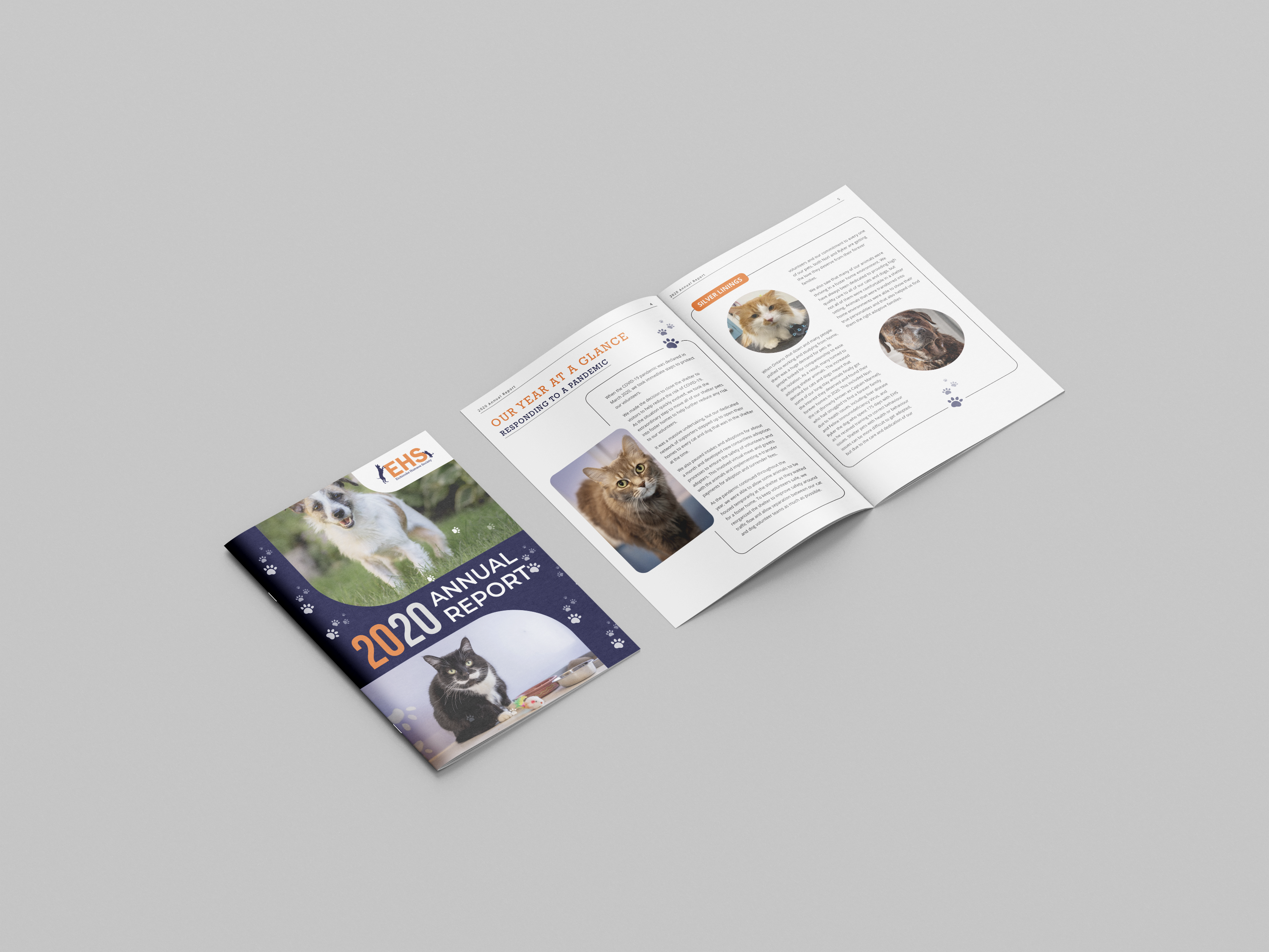 EHS 2020 Annual Report — Animal Shelter Publication Design adobe indesign animal shelter annual report design booklet design charity report cover design data visualization editorial layout financial report design fundraising report infographic layout layout design magazine layout nonprofit design print design publication design spread design